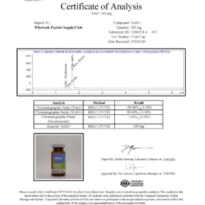 Alternative view of NAD+